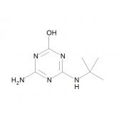  4-Amino-6-[(1,1-dimethylethyl) 