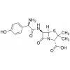  Amoxicillin (>90%) 