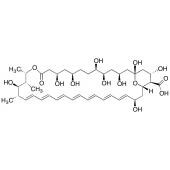  Amphoteronolide B (>85%) 