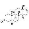  5a-Androstenone 