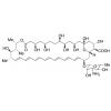  Amphotericin B (~80%) 