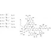  Antibiotic A 40926 (Mixture) 