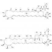  Antibiotic A21 