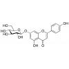  Apigenin 7-Glucoside 