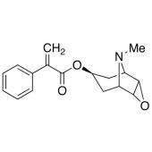  Aposcopolamine 