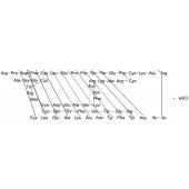  Aprotinin Hydrochloride 