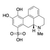  Apomorphine-8-Sulfonic Acid 