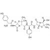  Amoxicillin Closed-loop Dimer 