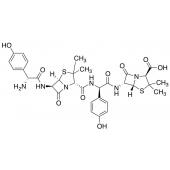  Amoxicillin Closed-loop Dimer 