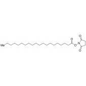  Arachidic Acid N-Hydroxy 