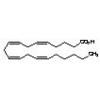  Arachidonic Acid 