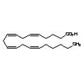  Arachidonic Acid 