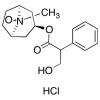  Atropine-N-oxide Hydrochloride 