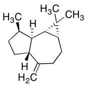  (+)-Aromadendrene 