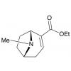  Ecgonidine Ethyl Ester 