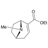  Ecgonidine Ethyl Ester 