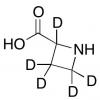  D,L-Azetidine-2-carboxylic 