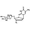  3'-Azido-3'-deoxythymidine - 