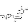  3'-Azido-3'-deoxythymidine- 