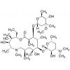  Azithromycin 