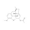  Acetylcodeine 