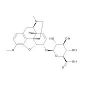  Codeine 6-beta-D-Glucuronide 0 