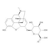  Morphine 6-beta-D-Glucuronide 