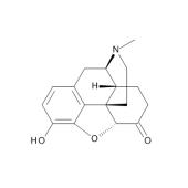  Hydromorphone 0.1 mg/ml in 
