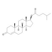  Testosterone Isocaproate 