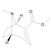  Anhydroecgonine Methyl Ester 