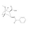  Benzoylecgonine 1.0 mg/ml 