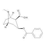  Benzoylecgonine 1.0 mg/ml 