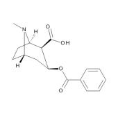  Benzoylecgonine 