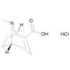 Anhydroecgonine Hydrochloride 