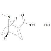  Anhydroecgonine Hydrochloride 