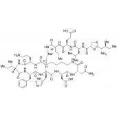  Bacitracin A (Technical Grade) 