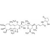  Bafilomycin B1 