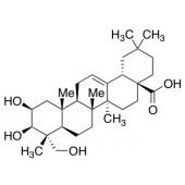  Bayogenin 