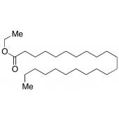  Behenic Acid Ethyl Ester 