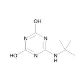  6-(tert-Butylamino)-1,3,5- 