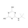  6-(tert-Butylamino)-1,3,5- 