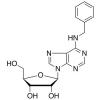  N6-Benzyl Adenosine 