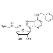  N6-Benzyl-5-ethylcarboxamido 