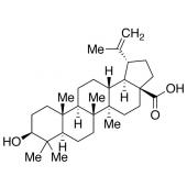  Betulinic Acid 