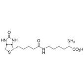  Biocytin 