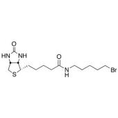  Biotin 5-Bromopentylamide 