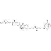  Biotin-Necrosulfonamide Propyl 