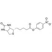  D-Biotin 4-Nitrophenyl Ester 