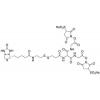  5-[2-Biotinylamidoethyl]-di 