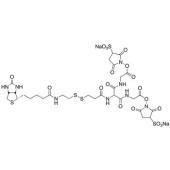  5-[2-Biotinylamidoethyl]-di 